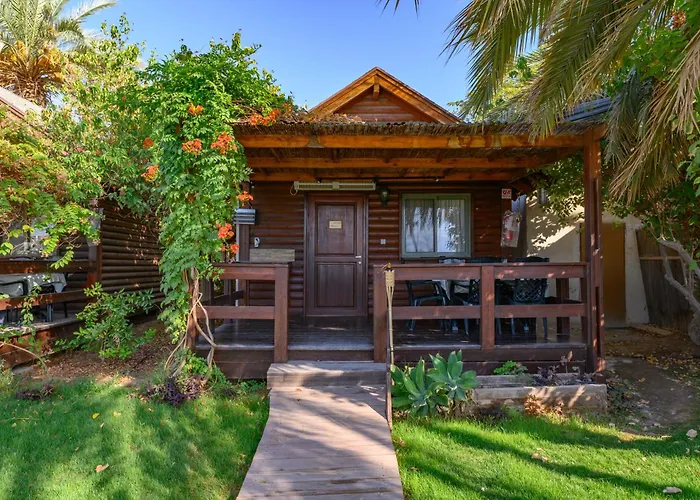 Belfer\'S Dead Sea Cabins