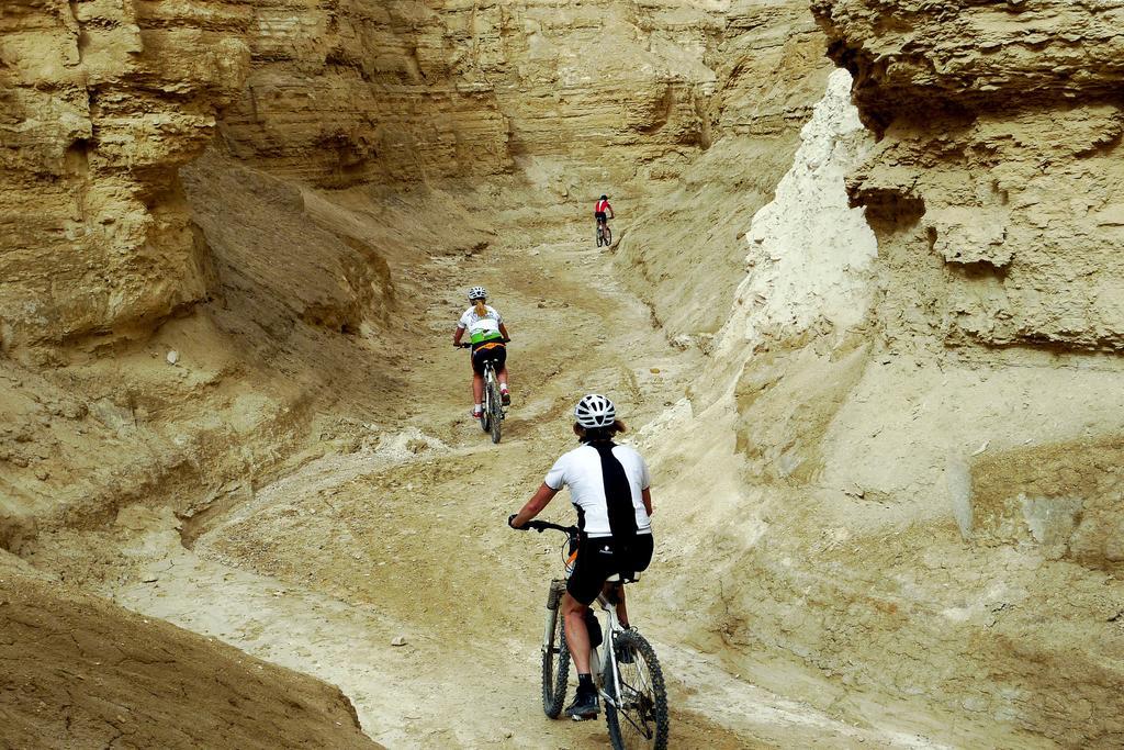 Belfer's Dead Sea Cabins Lodge