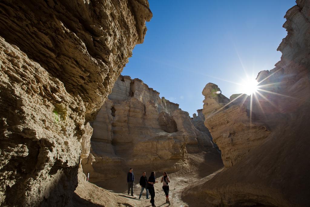 Belfer's Dead Sea Cabins