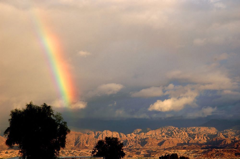 Lodge Belfer's Dead Sea Cabins *